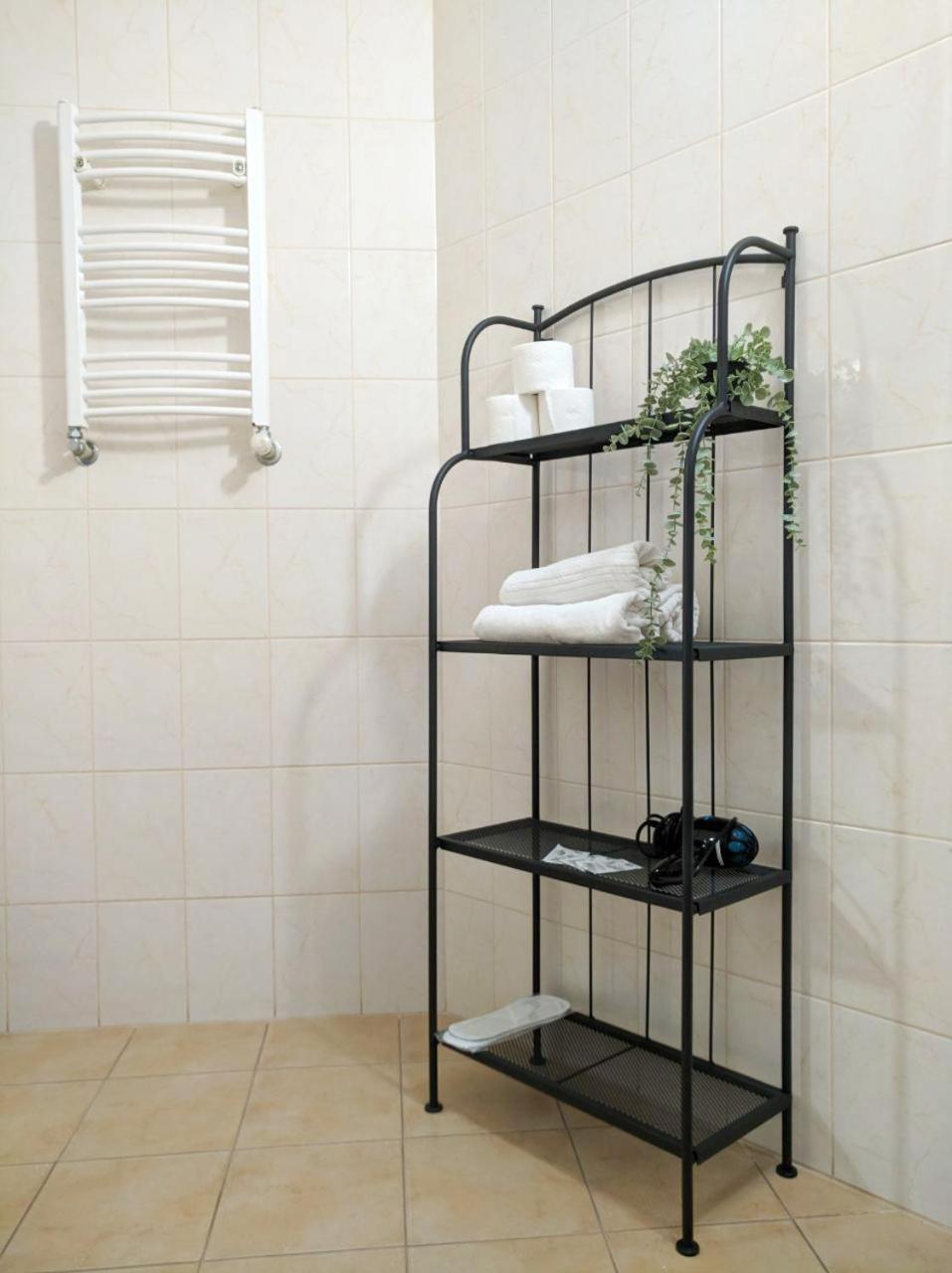 Best Apartment In The Center 穆卡切沃 外观 照片