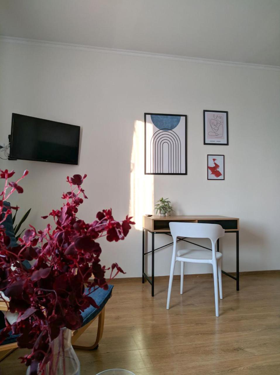Best Apartment In The Center 穆卡切沃 外观 照片
